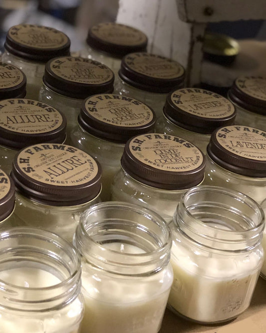 Organic Soy Candles Hand Poured in 19 Different Scent Options